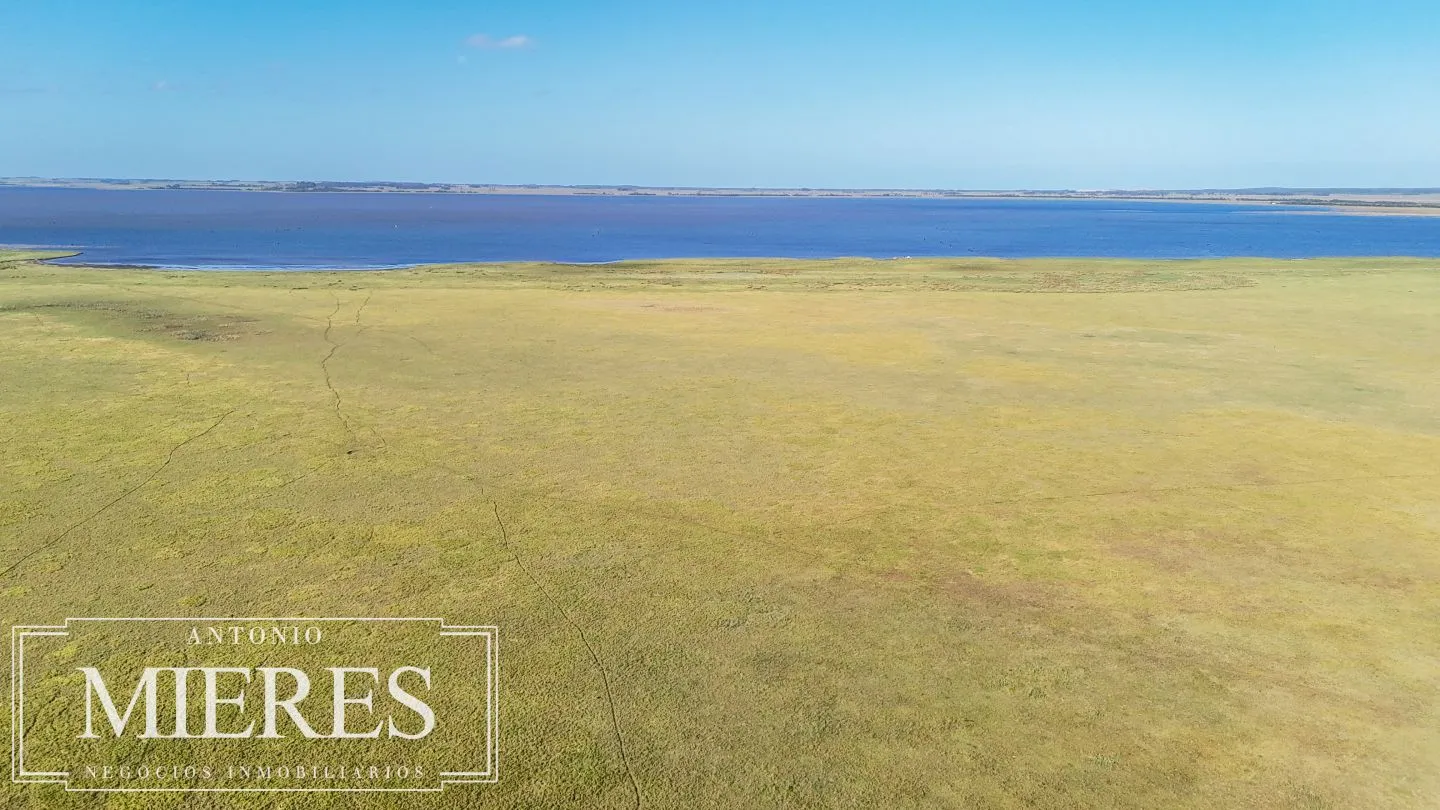 Campo en venta de 750 ha ganaderas en Rocha, Uruguay. — foto 2