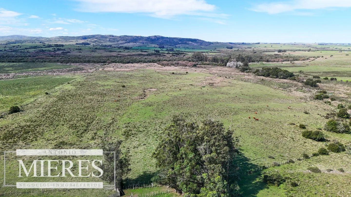 Chacra / Campo 47 ha en San Carlos — foto 16
