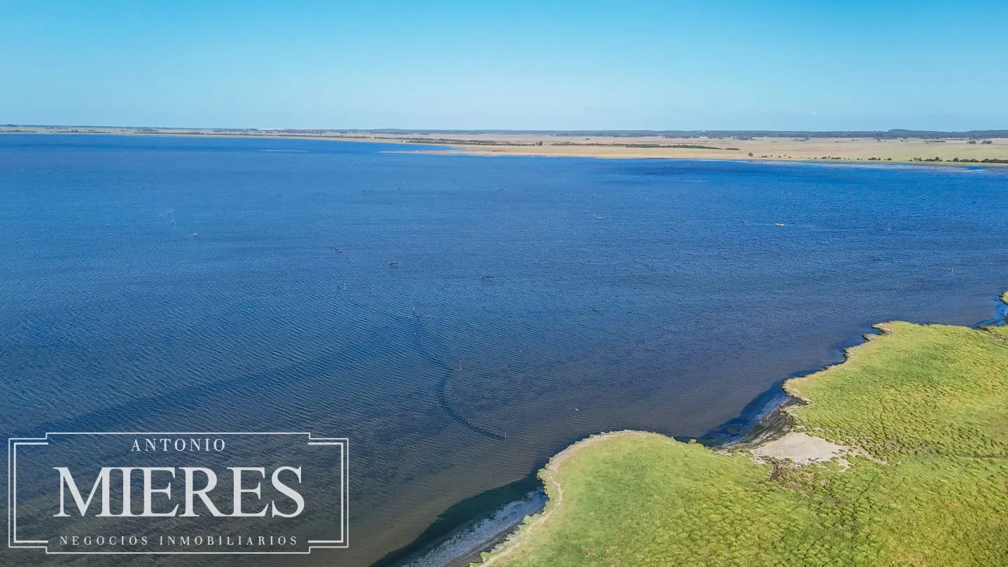 Campo en venta de 750 ha ganaderas en Rocha, Uruguay. — foto 3