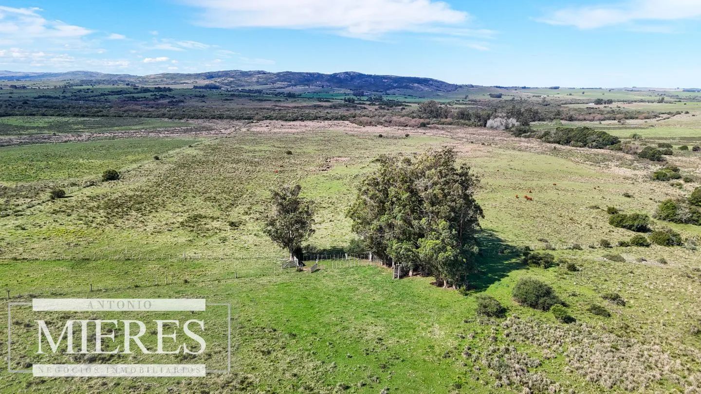 Chacra / Campo 47 ha en San Carlos — foto 17