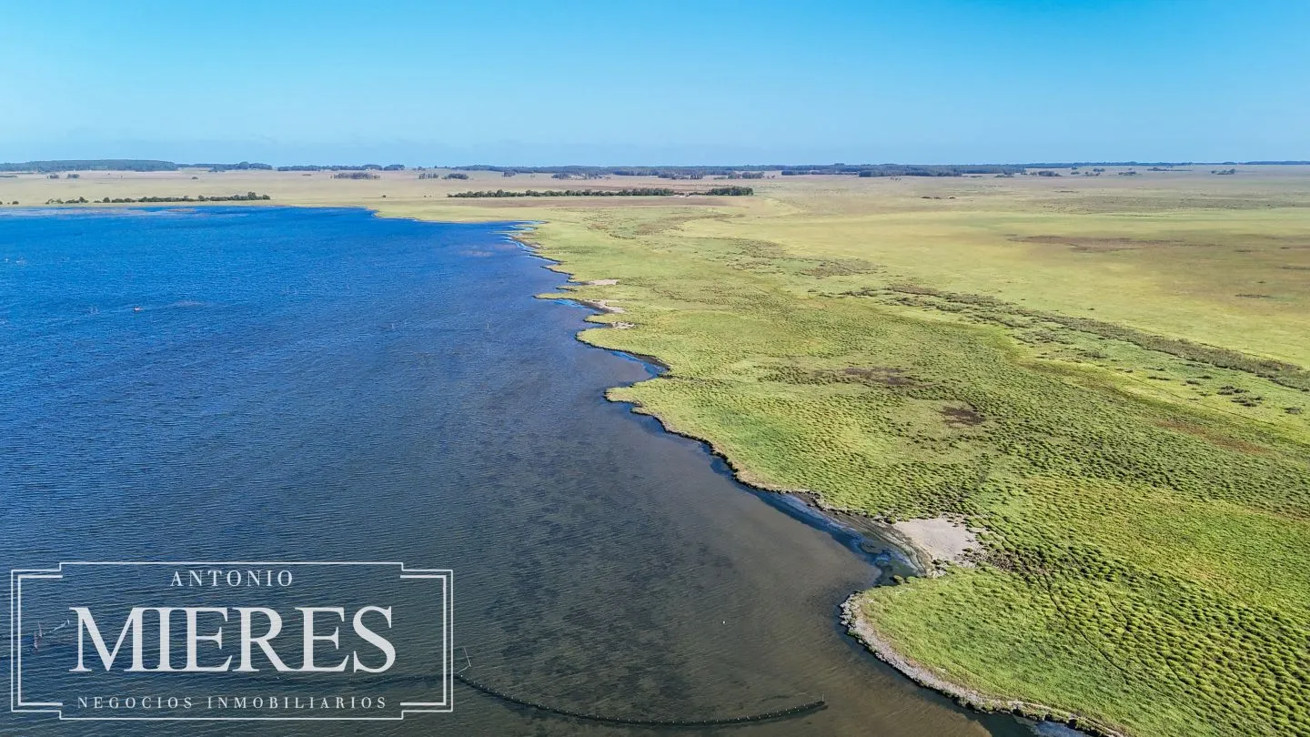 Campo en venta de 750 ha ganaderas en Rocha, Uruguay. — foto 4