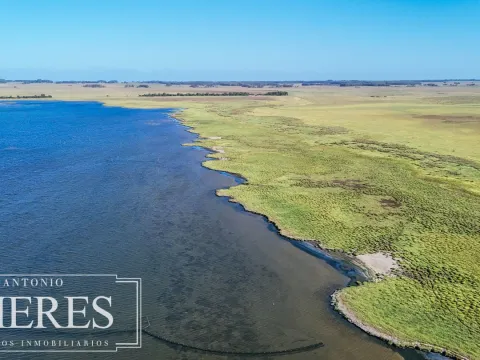 Campo en venta de 750 ha ganaderas en Rocha, Uruguay. — foto 4