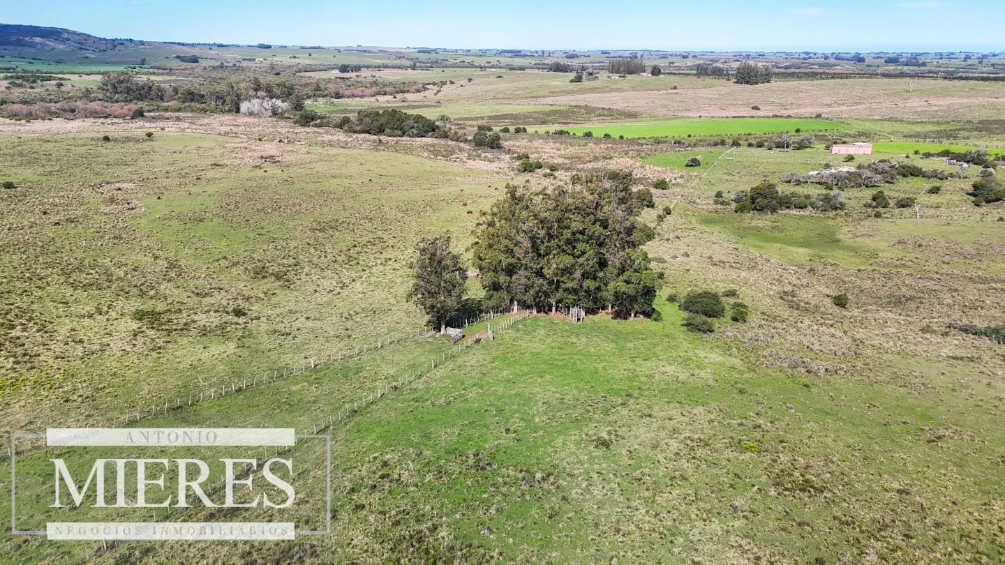 Chacra / Campo 47 ha en San Carlos — foto 18