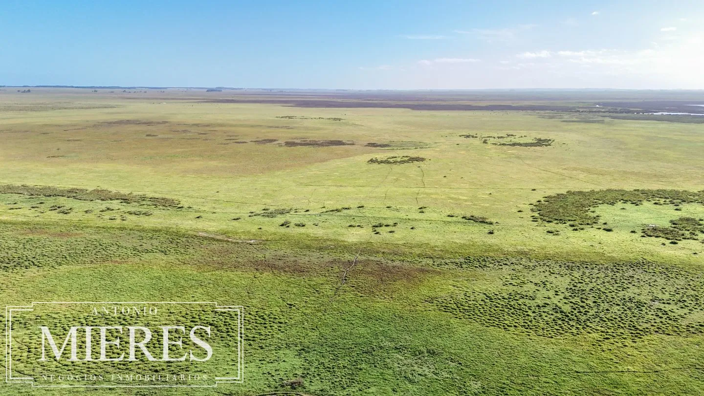 Campo en venta de 750 ha ganaderas en Rocha, Uruguay. — foto 5