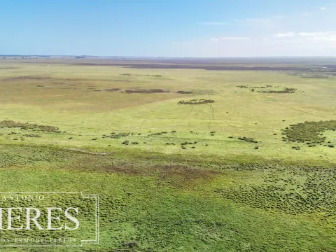 Campo en venta de 750 ha ganaderas en Rocha, Uruguay. — foto 5