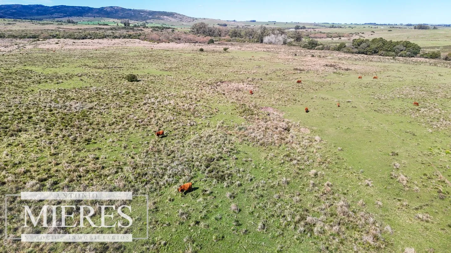Chacra / Campo 47 ha en San Carlos — foto 19