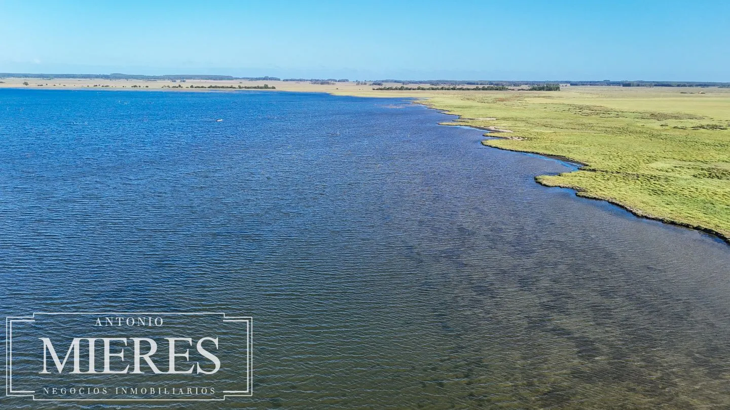 Campo en venta de 750 ha ganaderas en Rocha, Uruguay. — foto 6