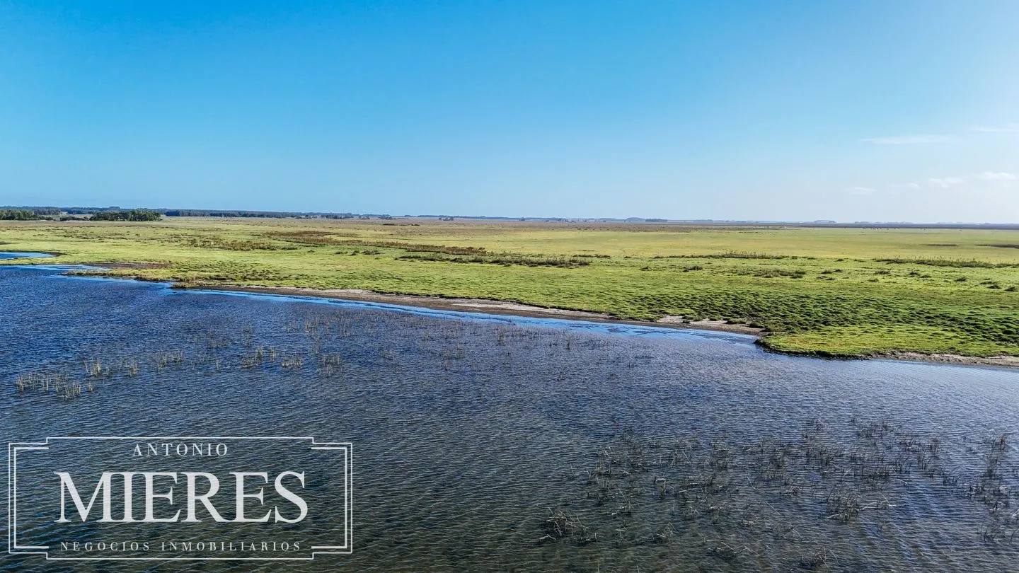 Campo en venta de 750 ha ganaderas en Rocha, Uruguay. — foto 7