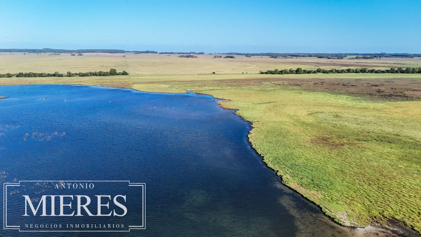 Campo en venta de 750 ha ganaderas en Rocha, Uruguay. — foto 8