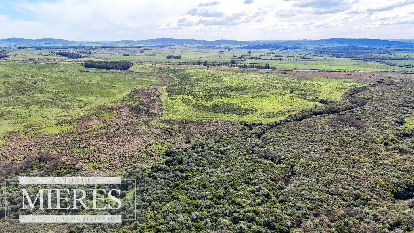Chacra / Campo 47 ha en San Carlos — foto 22