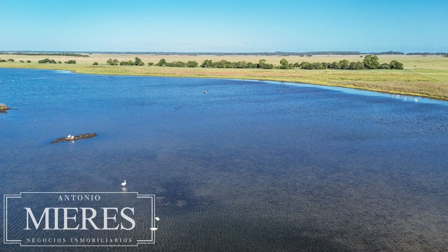 Campo en venta de 750 ha ganaderas en Rocha, Uruguay. — foto 9