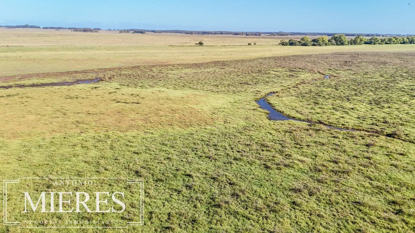 Campo en venta de 750 ha ganaderas en Rocha, Uruguay. — foto 10