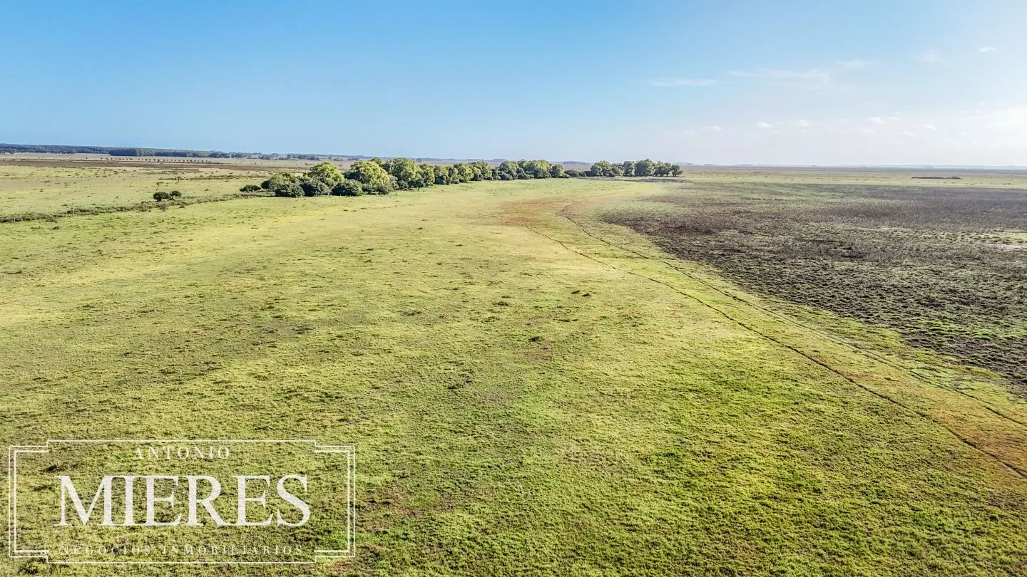 Campo en venta de 750 ha ganaderas en Rocha, Uruguay. — foto 11