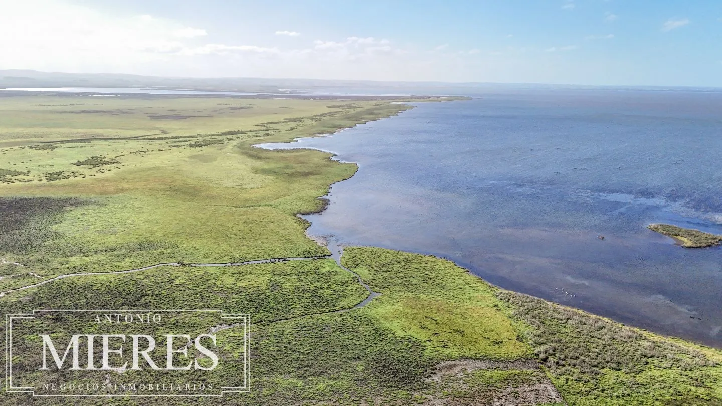 Campo en venta de 750 ha ganaderas en Rocha, Uruguay. — foto 12