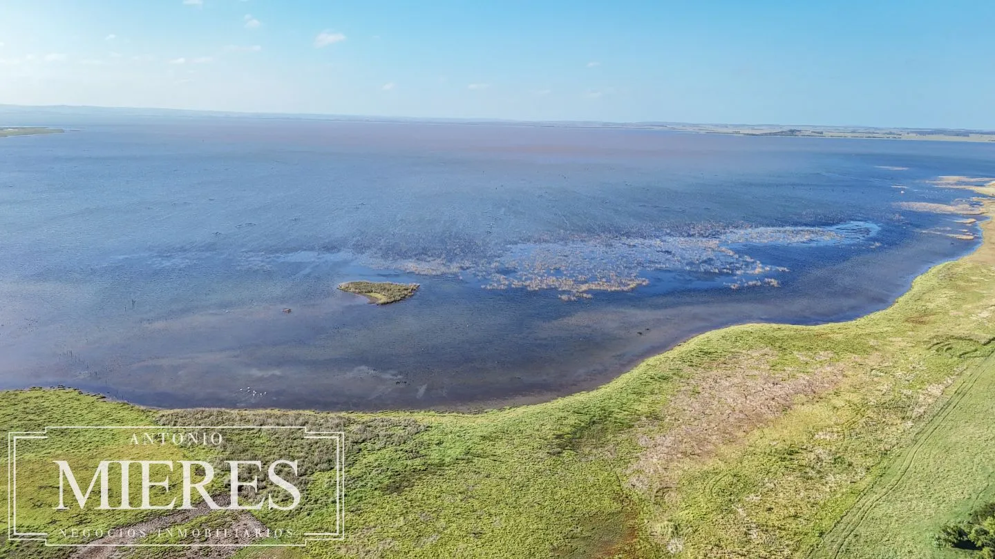 Campo en venta de 750 ha ganaderas en Rocha, Uruguay. — foto 13