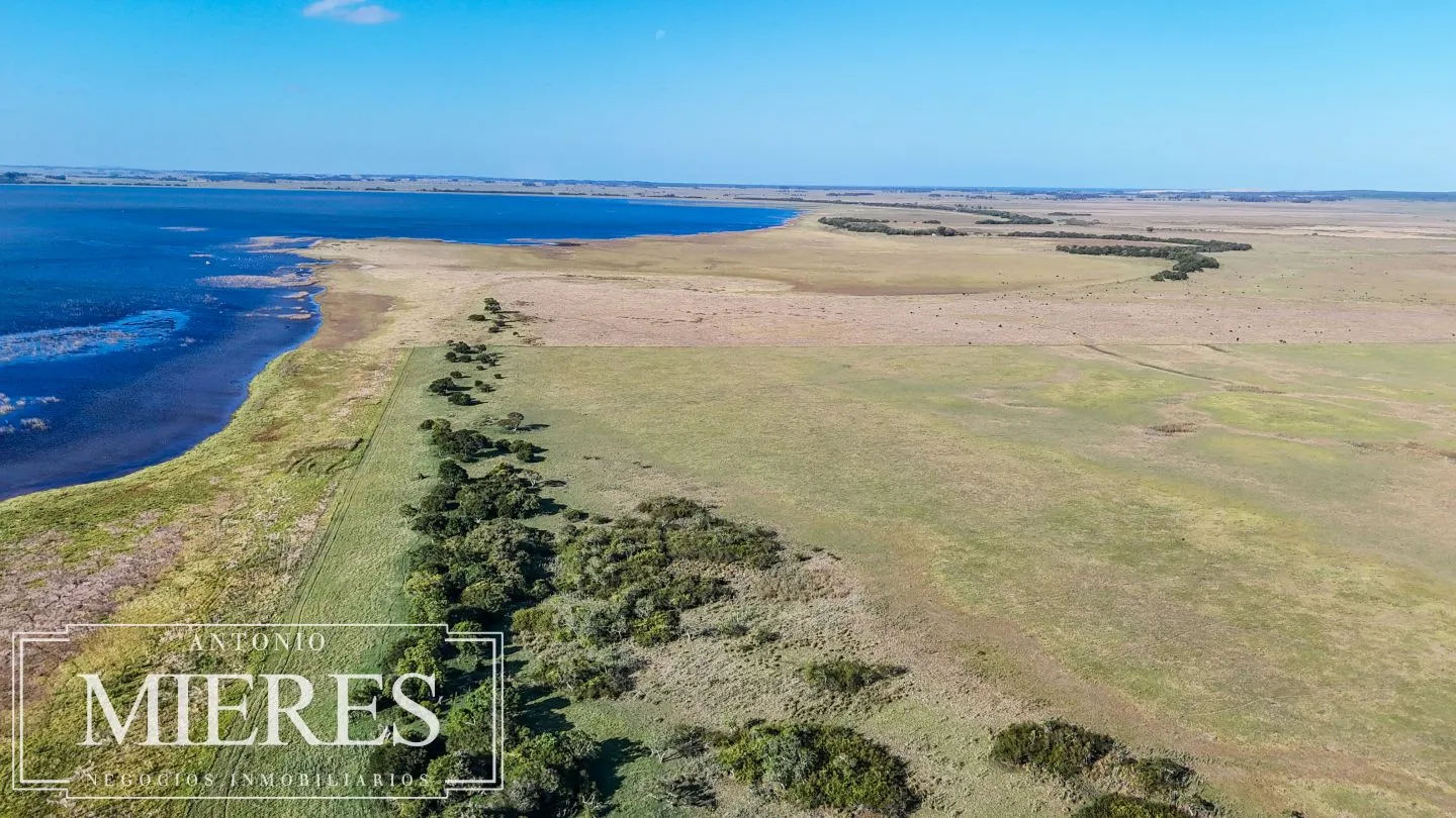 Campo en venta de 750 ha ganaderas en Rocha, Uruguay. — foto 14