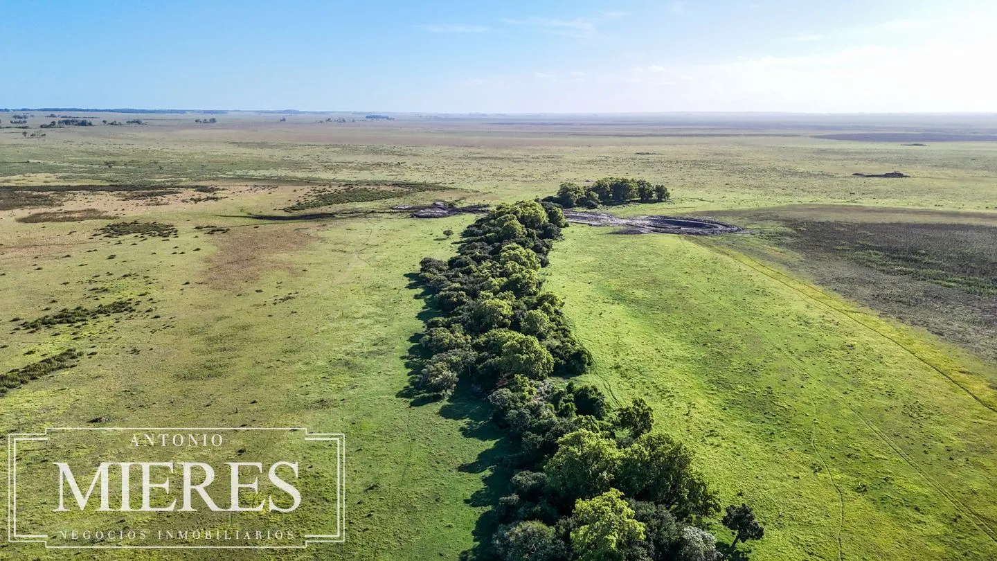 Campo en venta de 750 ha ganaderas en Rocha, Uruguay. — foto 15