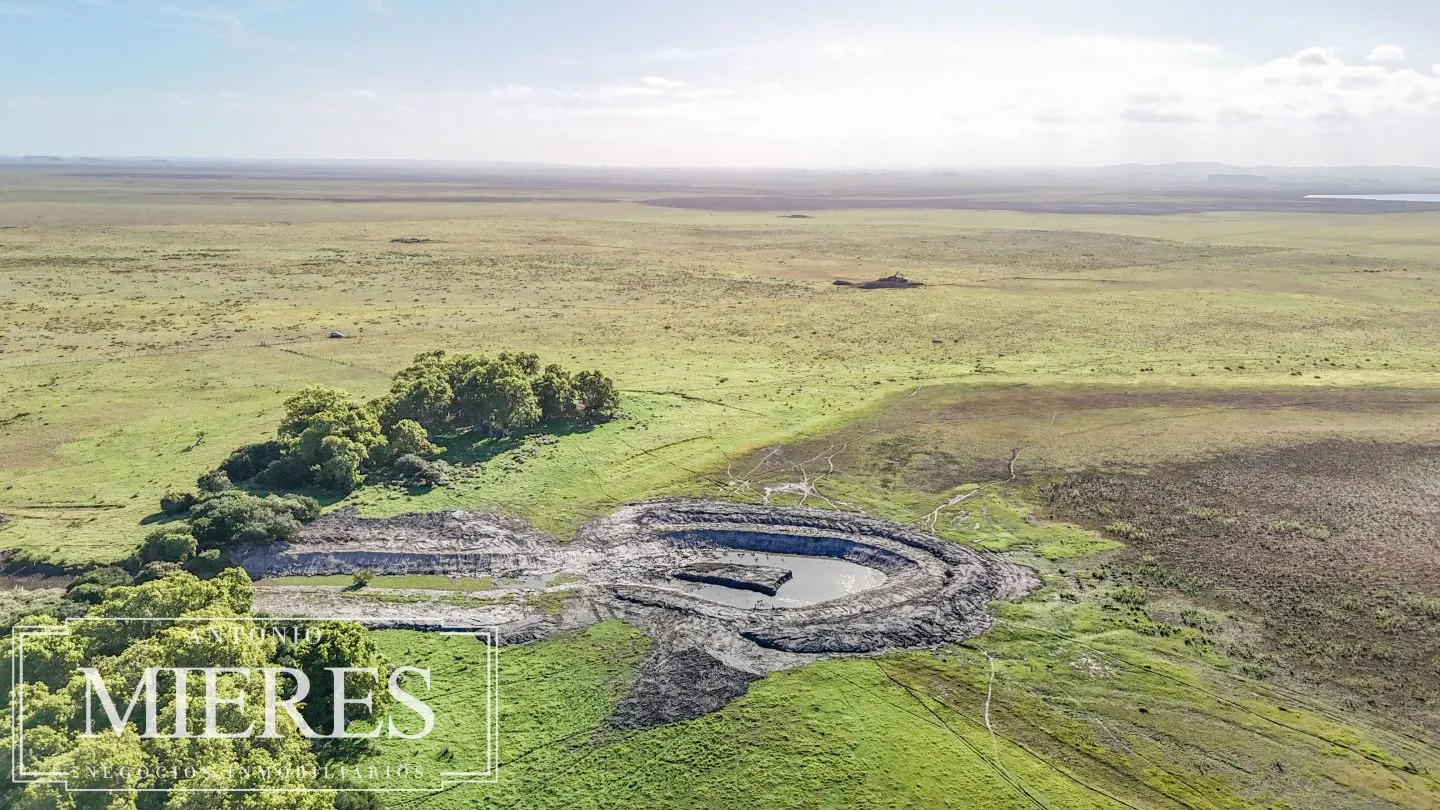 Campo en venta de 750 ha ganaderas en Rocha, Uruguay. — foto 16