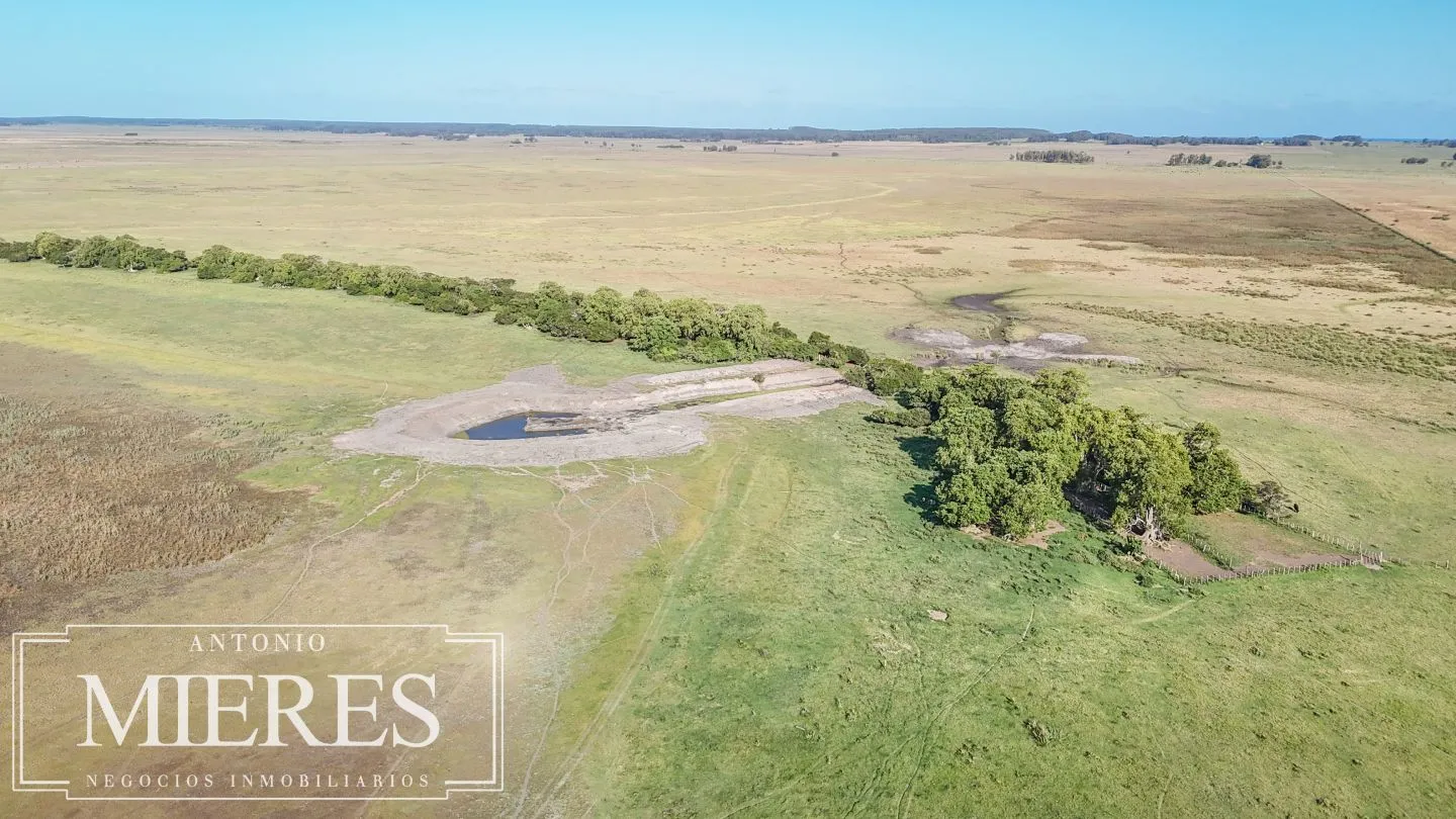 Campo en venta de 750 ha ganaderas en Rocha, Uruguay. — foto 17