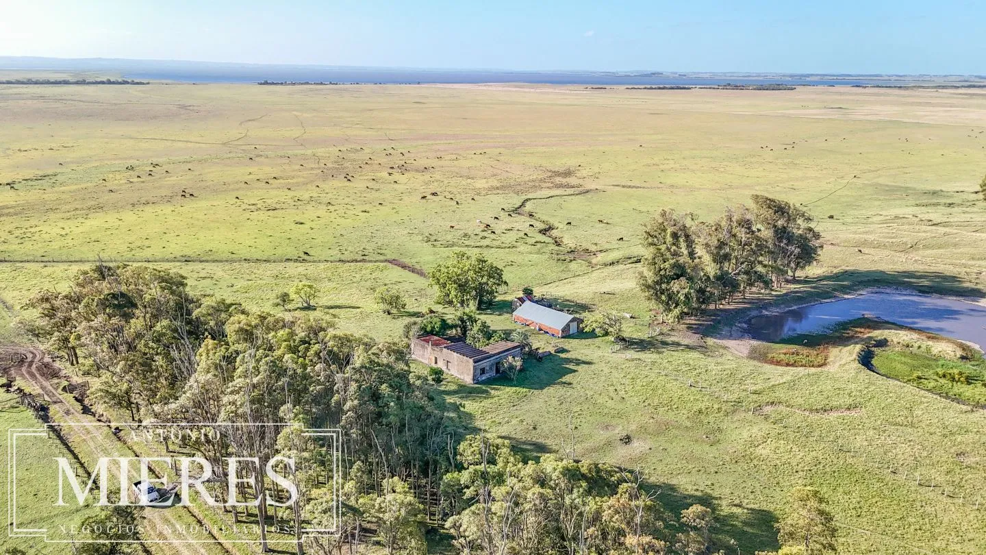 Campo en venta de 750 ha ganaderas en Rocha, Uruguay. — foto 19