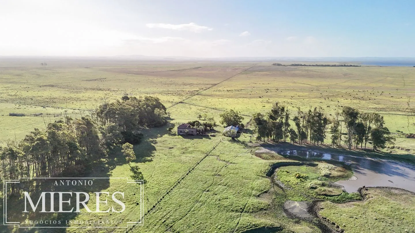 Campo en venta de 750 ha ganaderas en Rocha, Uruguay. — foto 20
