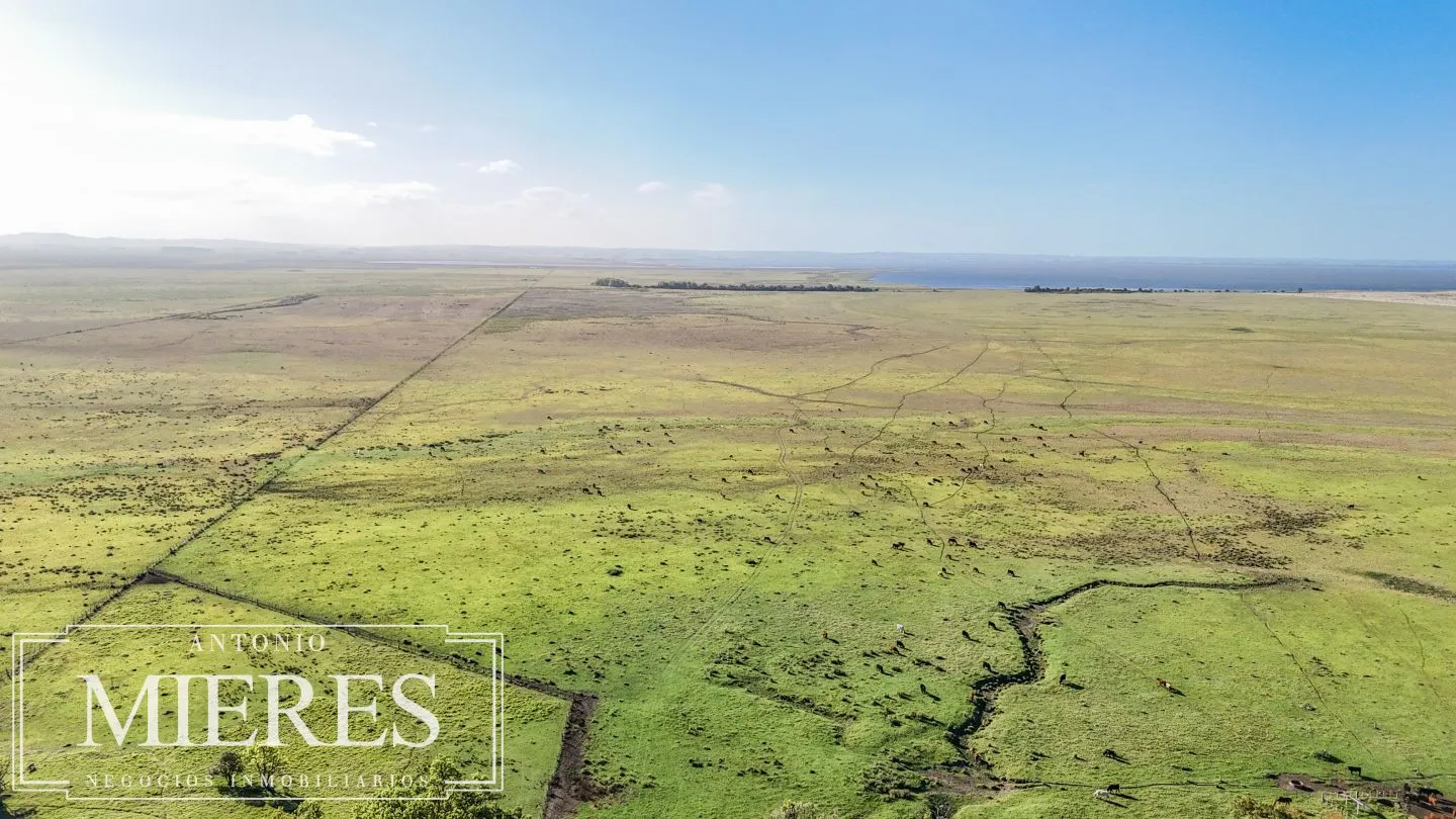 Campo en venta de 750 ha ganaderas en Rocha, Uruguay. — foto 21