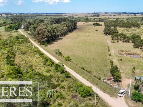 Chacra en venta de 5,6 ha con costa al arroyo José Ignacio