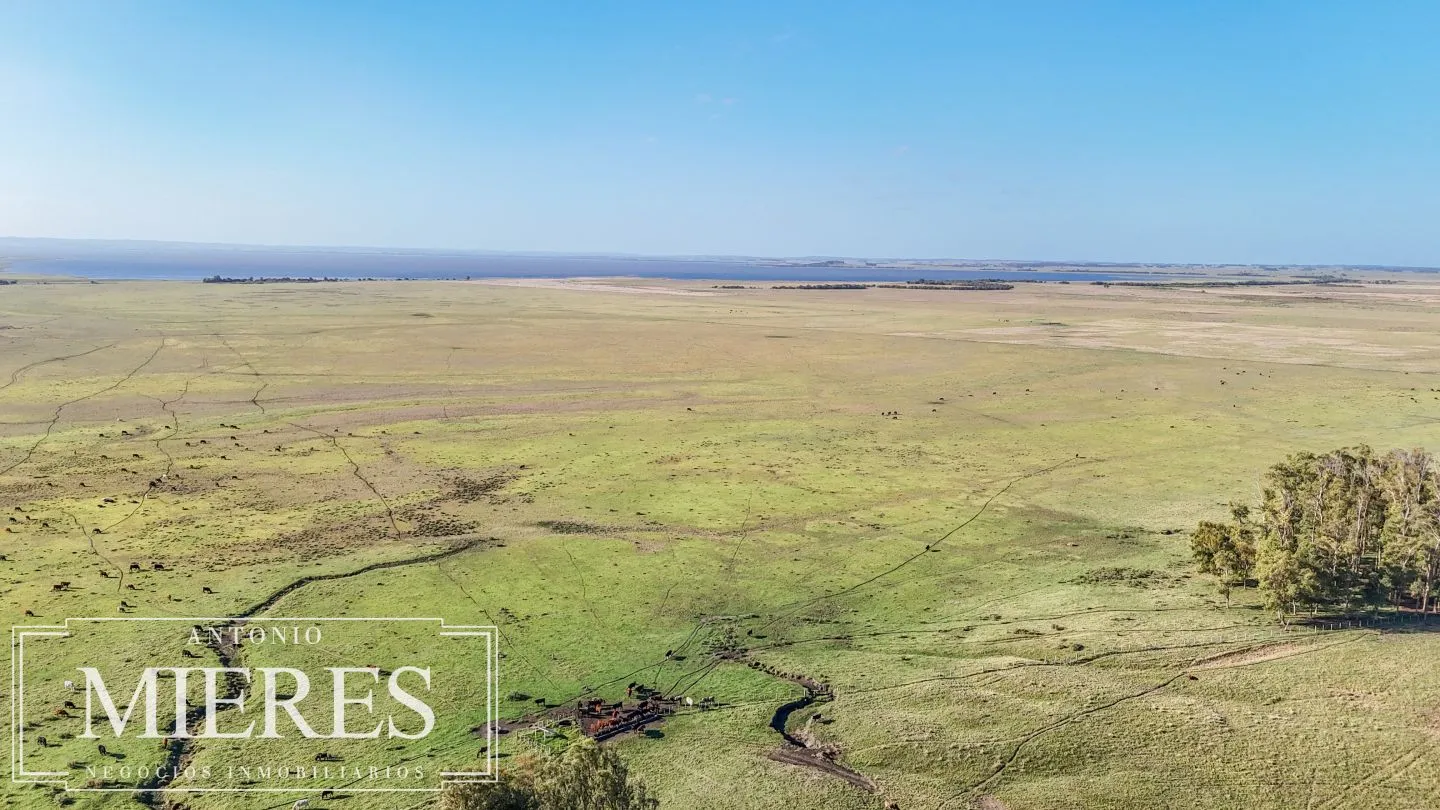 Campo en venta de 750 ha ganaderas en Rocha, Uruguay. — foto 22