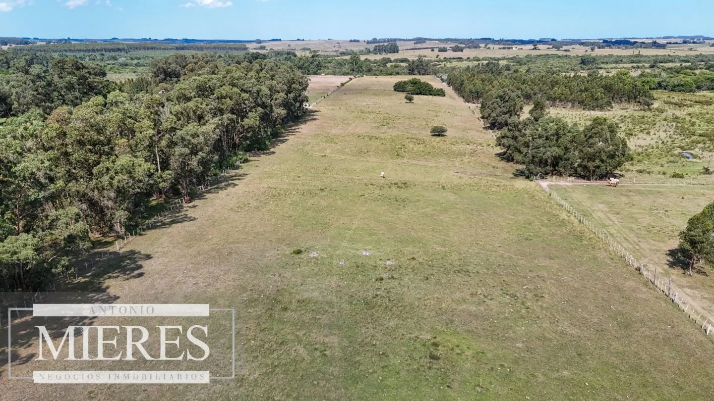 Chacra en venta de 5,6 ha con costa al arroyo José Ignacio — foto 2