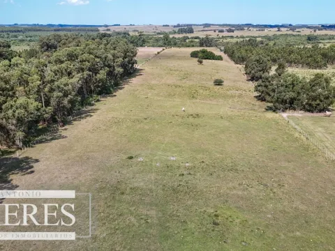 Chacra en venta de 5,6 ha con costa al arroyo José Ignacio — foto 2