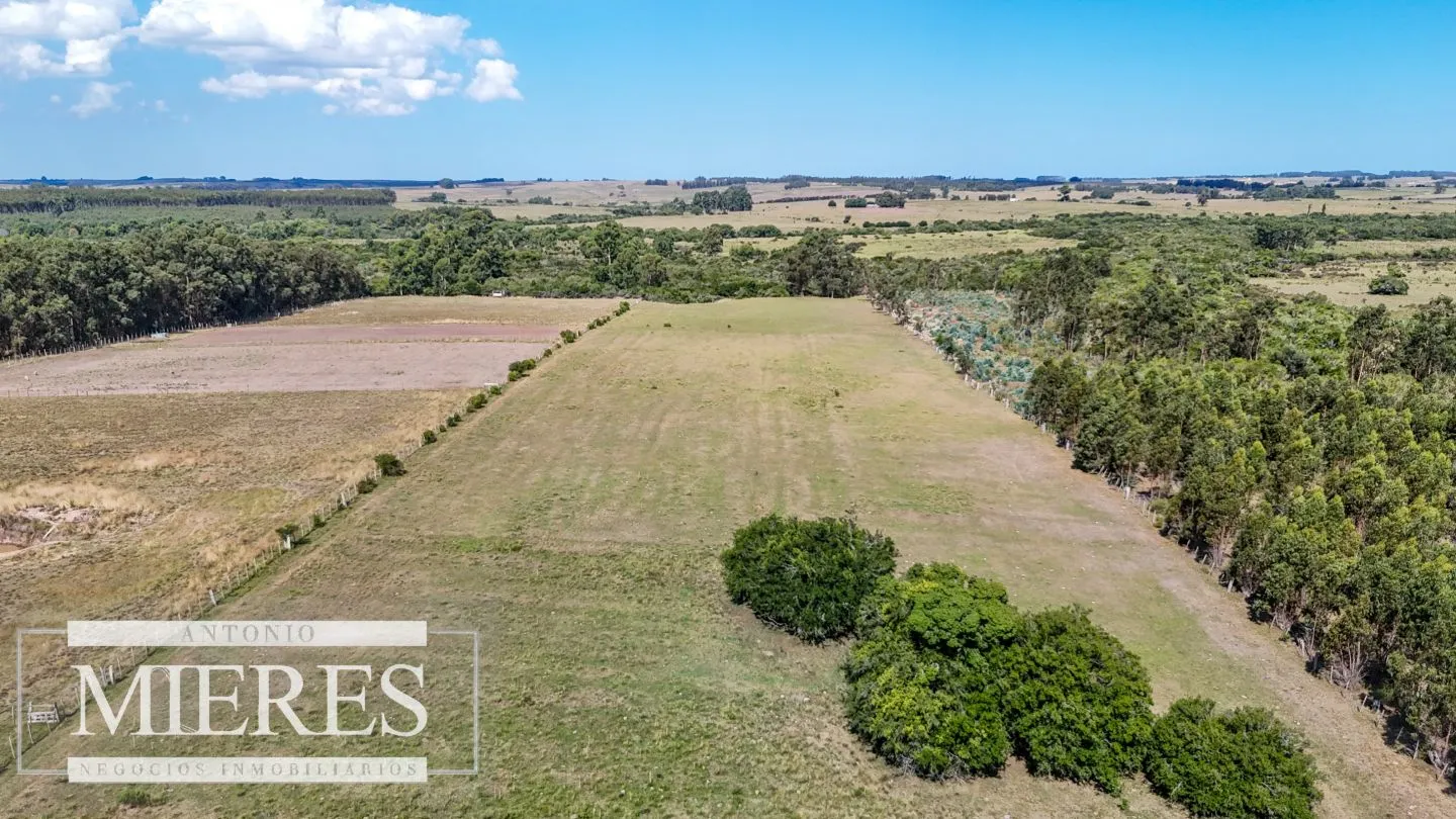 Chacra en venta de 5,6 ha con costa al arroyo José Ignacio — foto 3