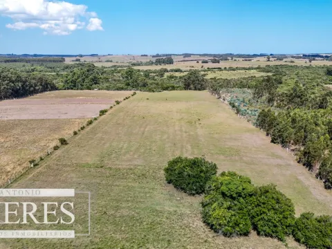 Chacra en venta de 5,6 ha con costa al arroyo José Ignacio — foto 3