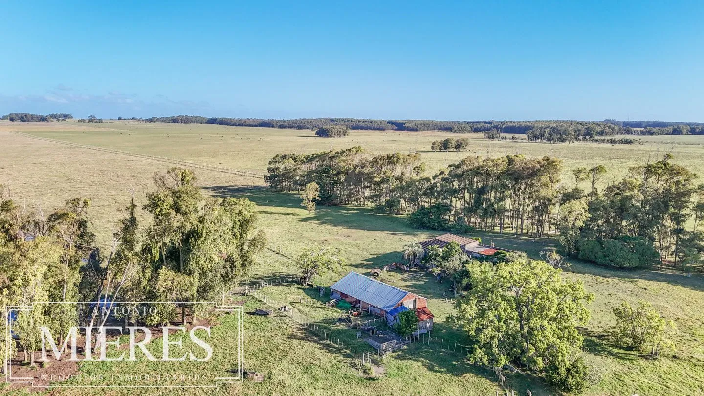 Campo en venta de 750 ha ganaderas en Rocha, Uruguay. — foto 24