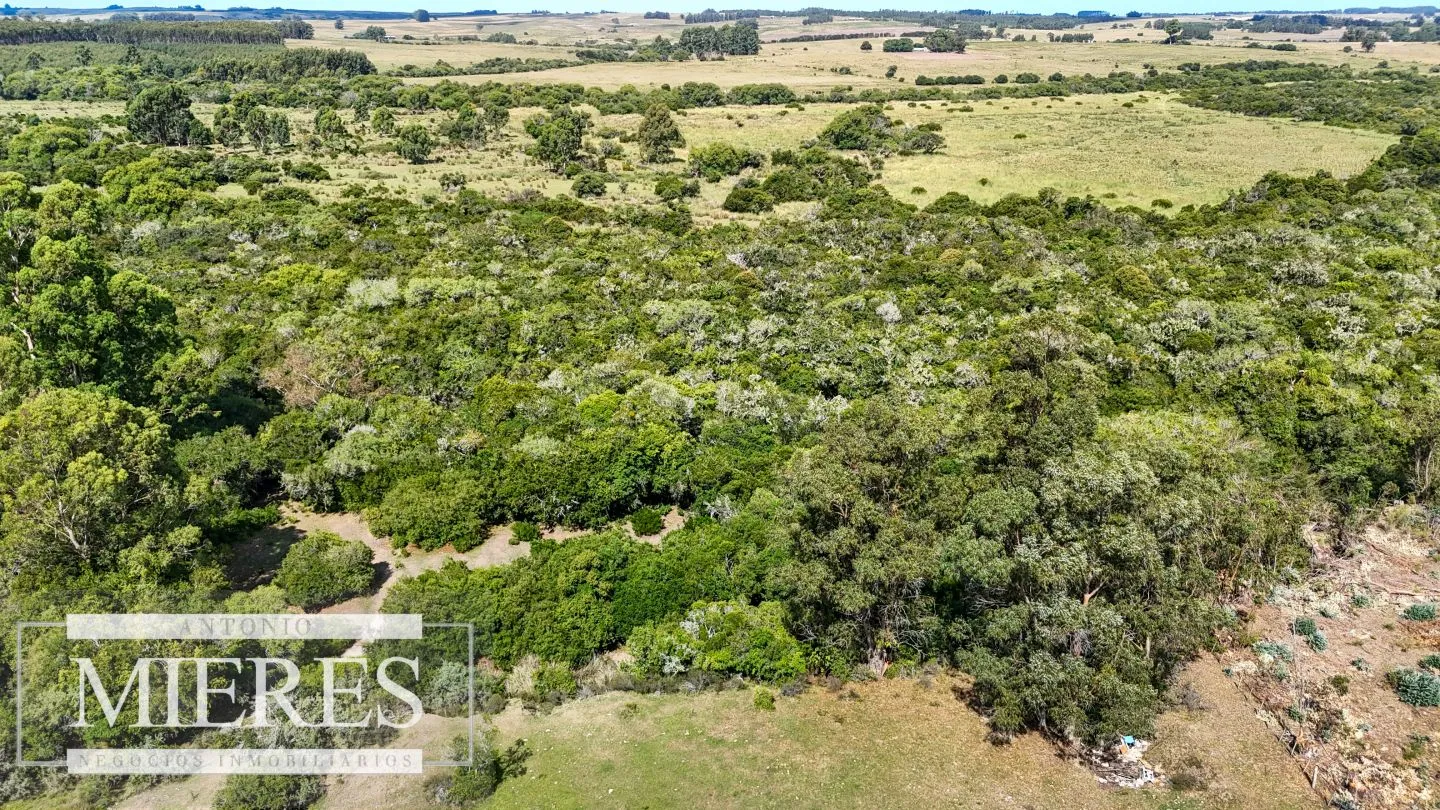 Chacra en venta de 5,6 ha con costa al arroyo José Ignacio — foto 4
