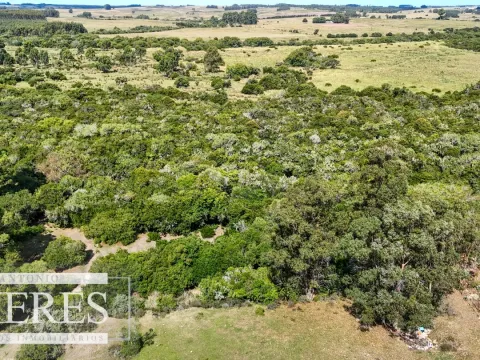 Chacra en venta de 5,6 ha con costa al arroyo José Ignacio — foto 4
