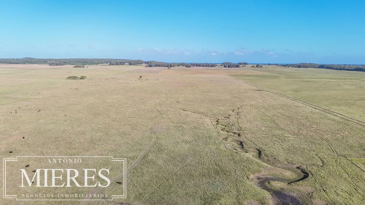 Campo en venta de 750 ha ganaderas en Rocha, Uruguay. — foto 25