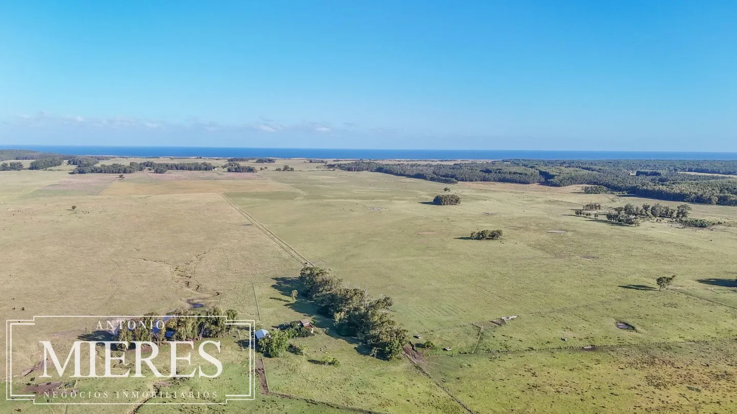 Campo en venta de 750 ha ganaderas en Rocha, Uruguay. — foto 26