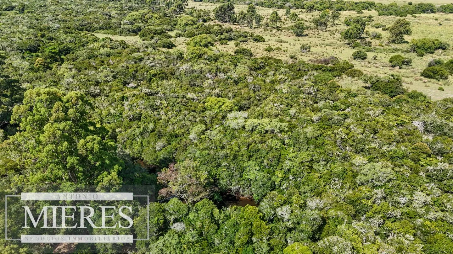 Chacra en venta de 5,6 ha con costa al arroyo José Ignacio — foto 5