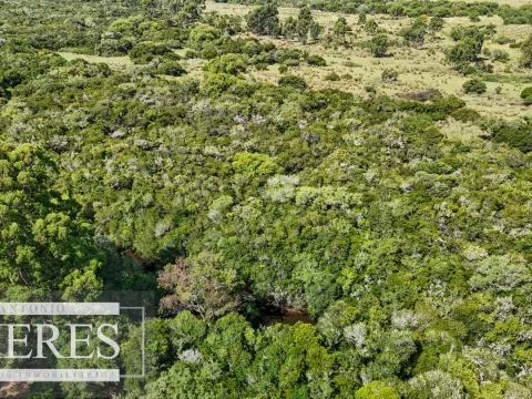 Chacra en venta de 5,6 ha con costa al arroyo José Ignacio — foto 5