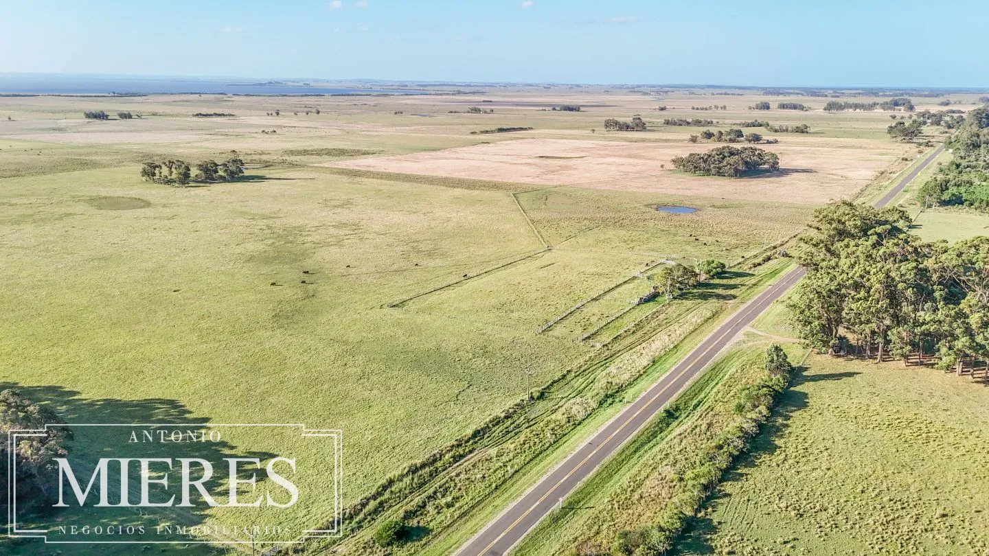 Campo en venta de 750 ha ganaderas en Rocha, Uruguay. — foto 27