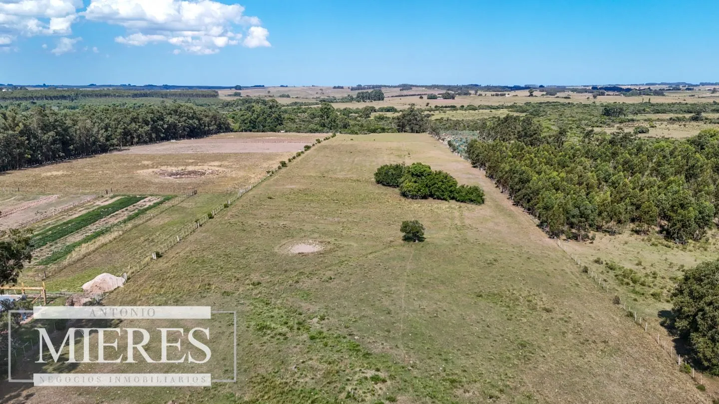 Chacra en venta de 5,6 ha con costa al arroyo José Ignacio — foto 6