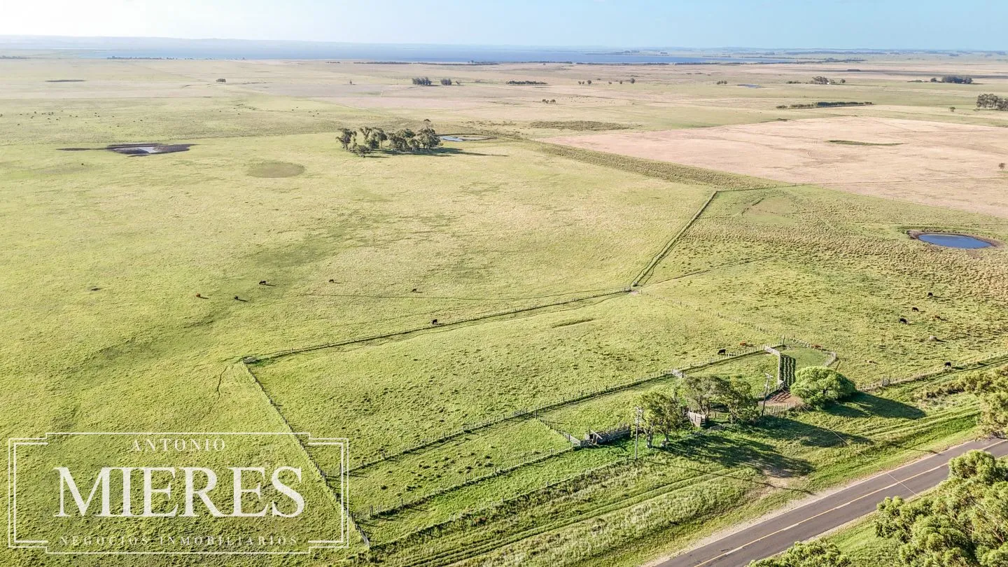 Campo en venta de 750 ha ganaderas en Rocha, Uruguay. — foto 28