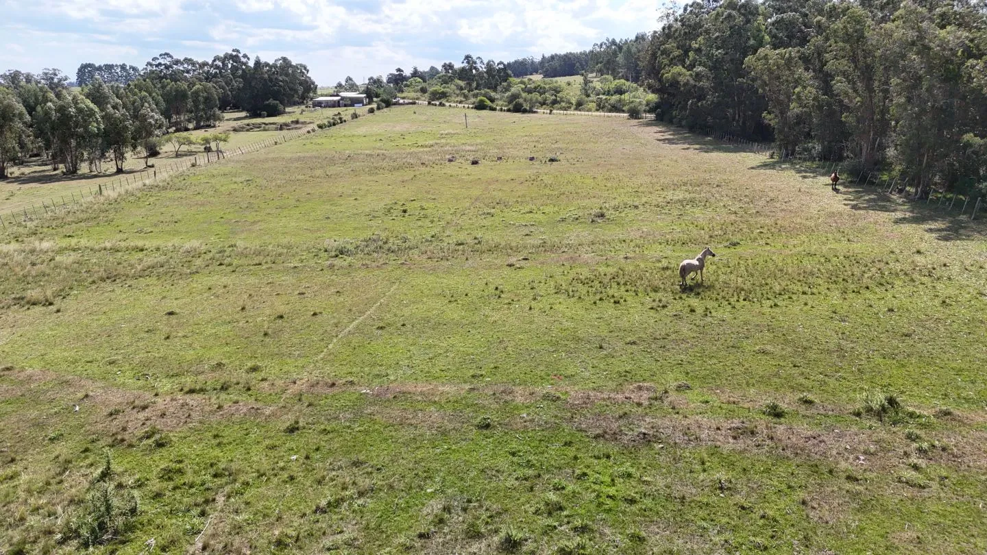 Chacra en venta de 5,6 ha con costa al arroyo José Ignacio — foto 7