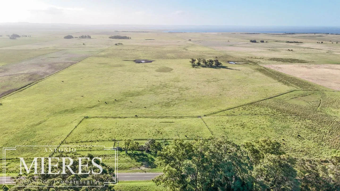 Campo en venta de 750 ha ganaderas en Rocha, Uruguay. — foto 29
