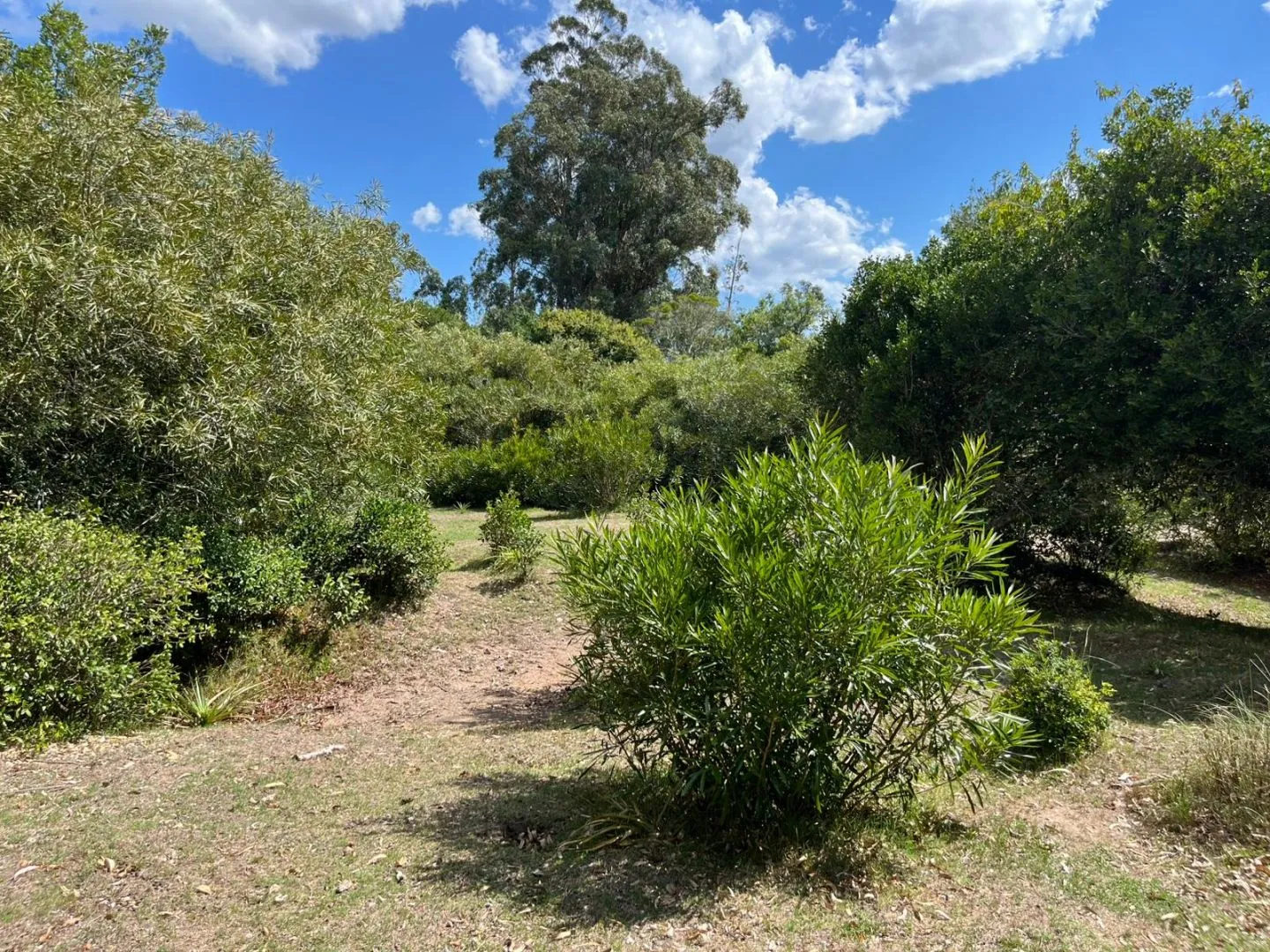 Chacra en venta de 5,6 ha con costa al arroyo José Ignacio — foto 8