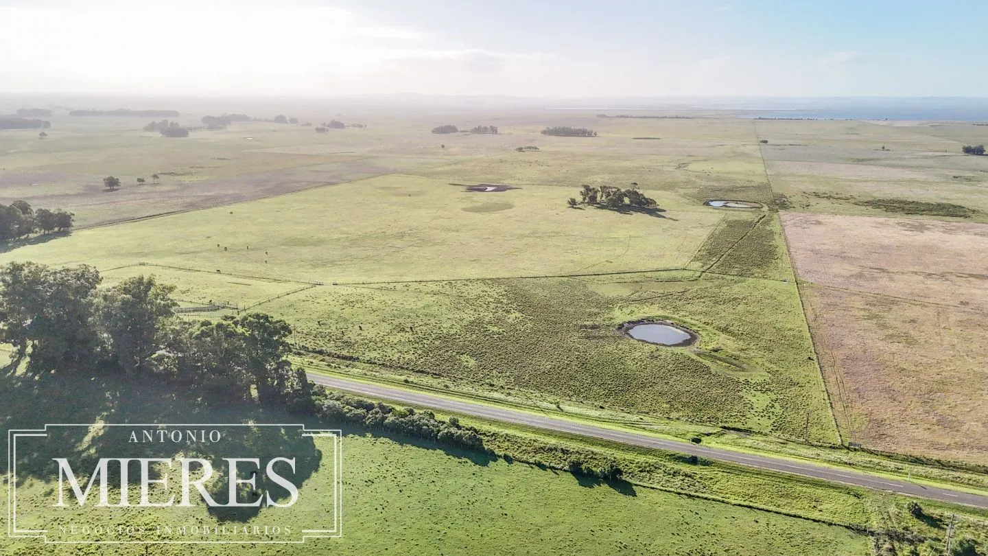 Campo en venta de 750 ha ganaderas en Rocha, Uruguay. — foto 30