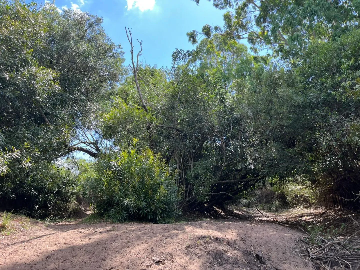 Chacra en venta de 5,6 ha con costa al arroyo José Ignacio — foto 9