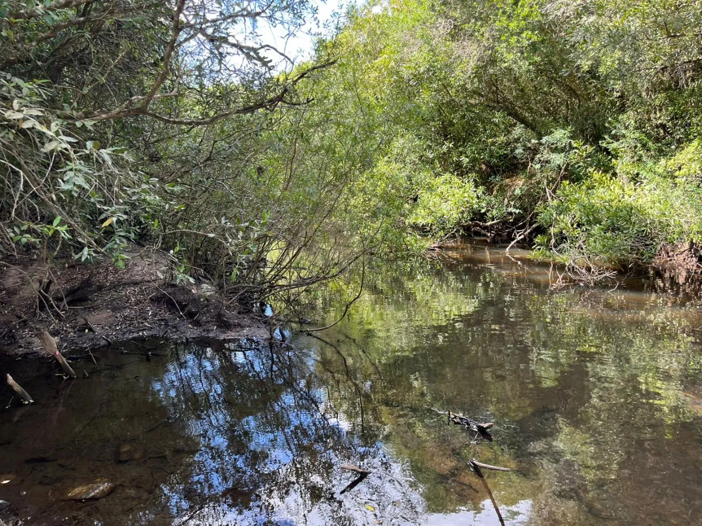 Chacra en venta de 5,6 ha con costa al arroyo José Ignacio — foto 10