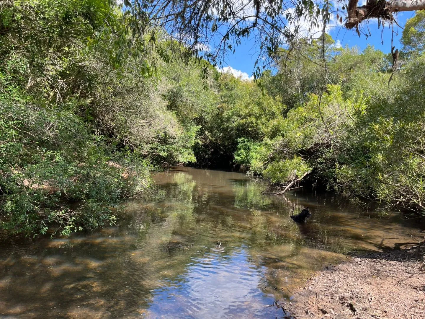 Chacra en venta de 5,6 ha con costa al arroyo José Ignacio — foto 11