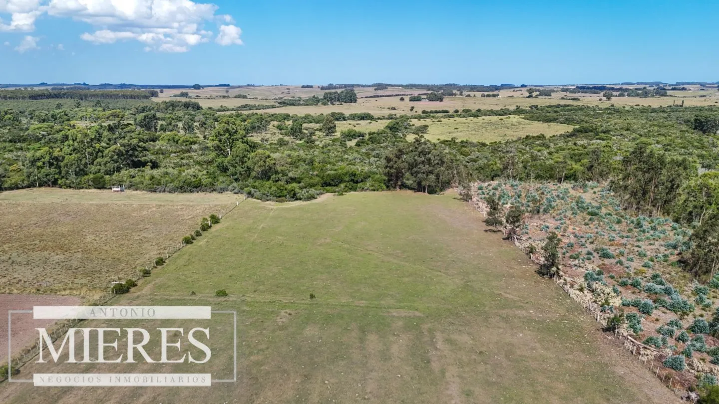Chacra en venta de 5,6 ha con costa al arroyo José Ignacio — foto 13